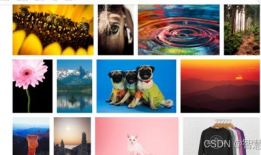 免费原创情感短视频素材,免费原创短视频素材中的温馨故事