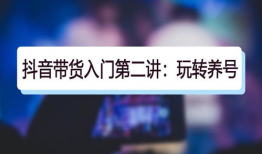 抖音短视频怎样带货挣钱,轻松实现财富增长